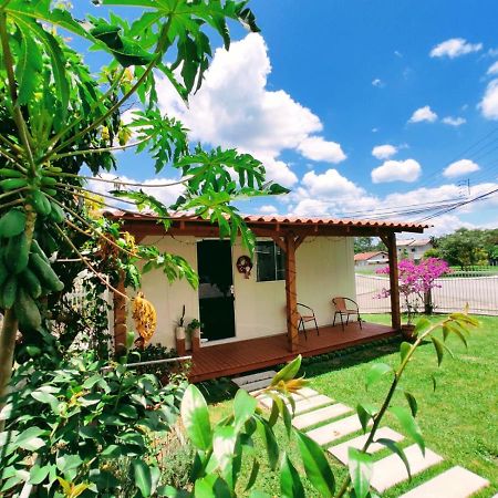 Encantadora Casa Container บลูเมเนา ภายนอก รูปภาพ